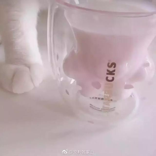 星巴克的“猫爪杯”，让我朋友圈炸开了锅……
