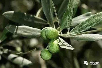 限时买二赠一，植物染发剂不伤发还护发，数次断货，即将售罄，现在剁手还来得及 | 钛空舱