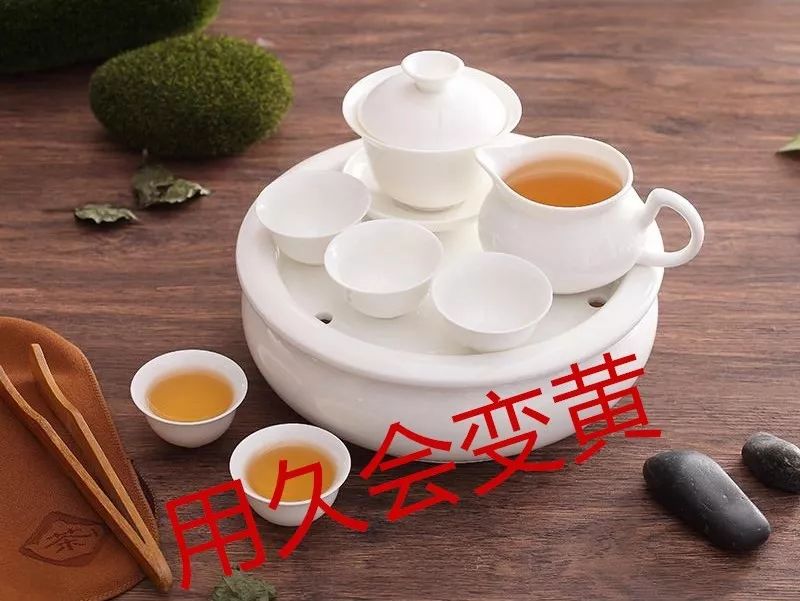 包子宝宝喜提“奥斯卡”，你也可以养一只陪你喝茶| 钛空舱