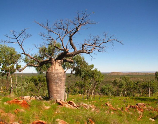 c5b88fa759904f4f8a3c61f0311ed4fa.jpg c5b88fa759904f4f8a3c61f0311ed4fa.jpg