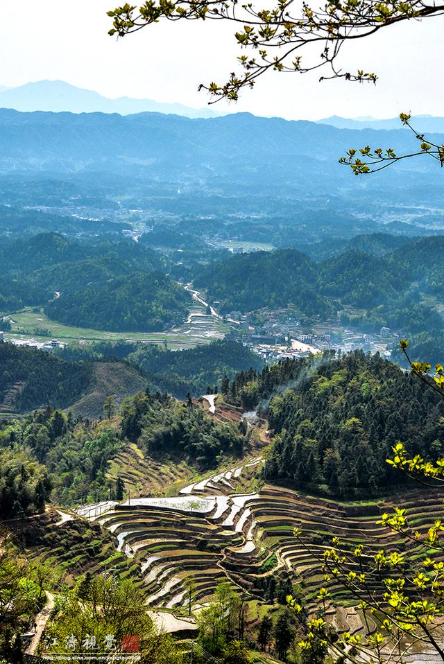 紫鹊界:湖南魅力迷人的梯田王国
