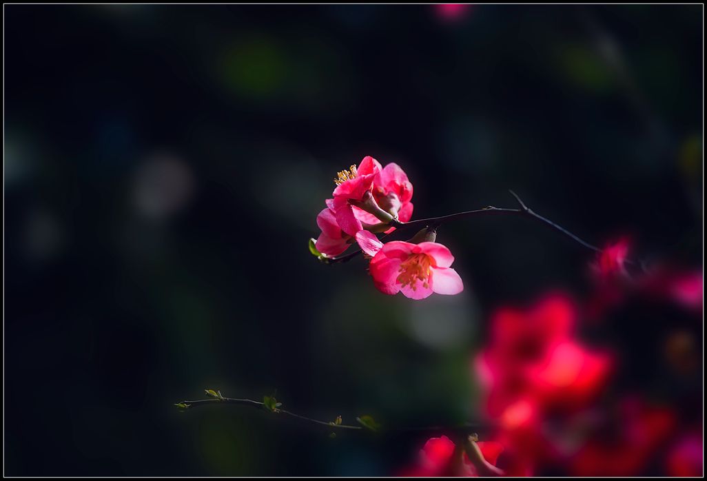 c9f72ad80db945eba1f51059eb872c4b.jpg