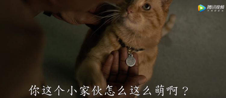 《复联4》两小时超长预告片，今日上映