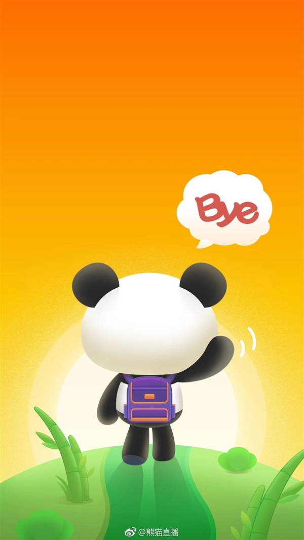官宣！熊猫直播停服 王思聪创业败走