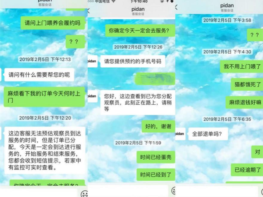 一只猫引发的创业热潮