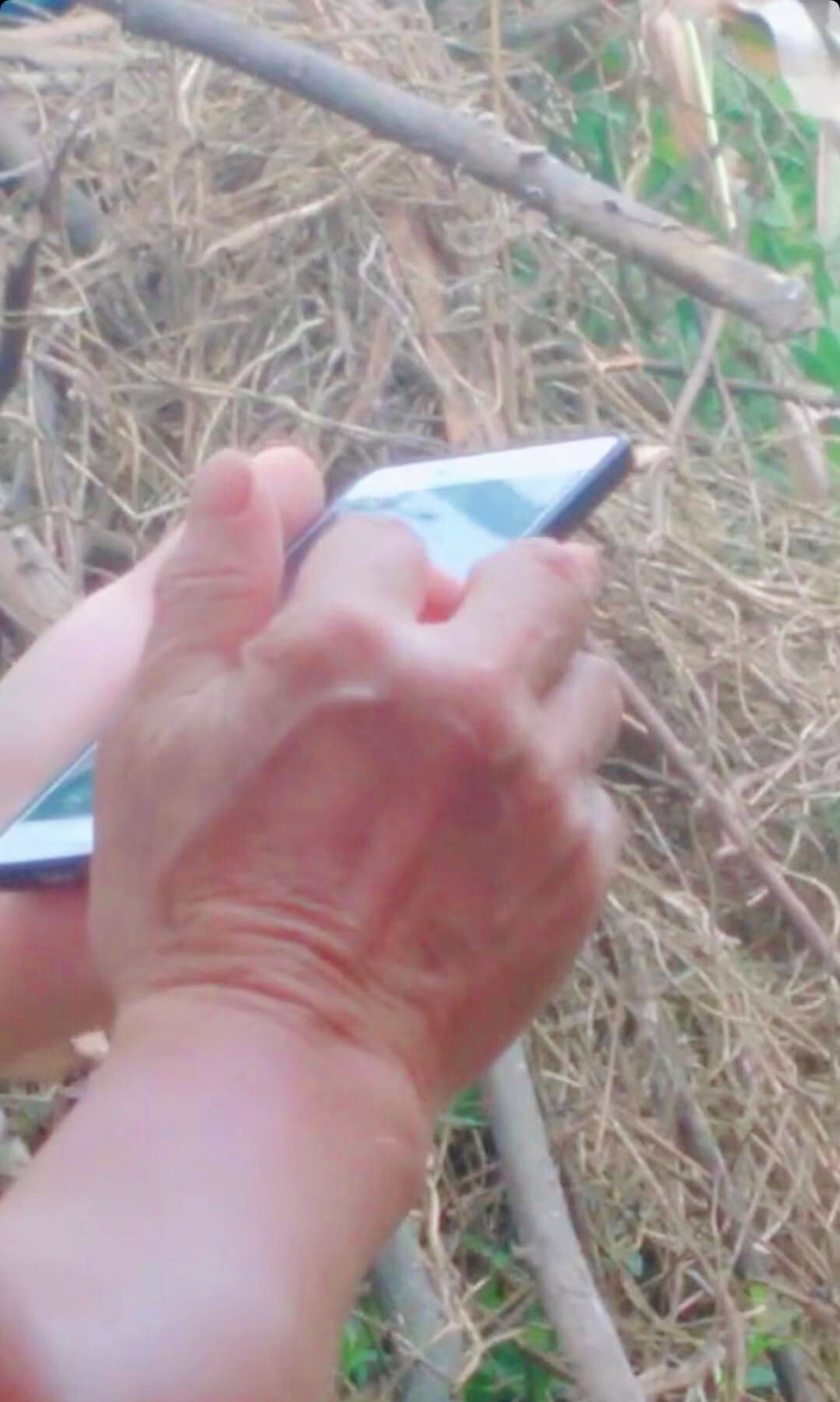 为氪金打赏不惜戒烟，银发经济也“疯狂”