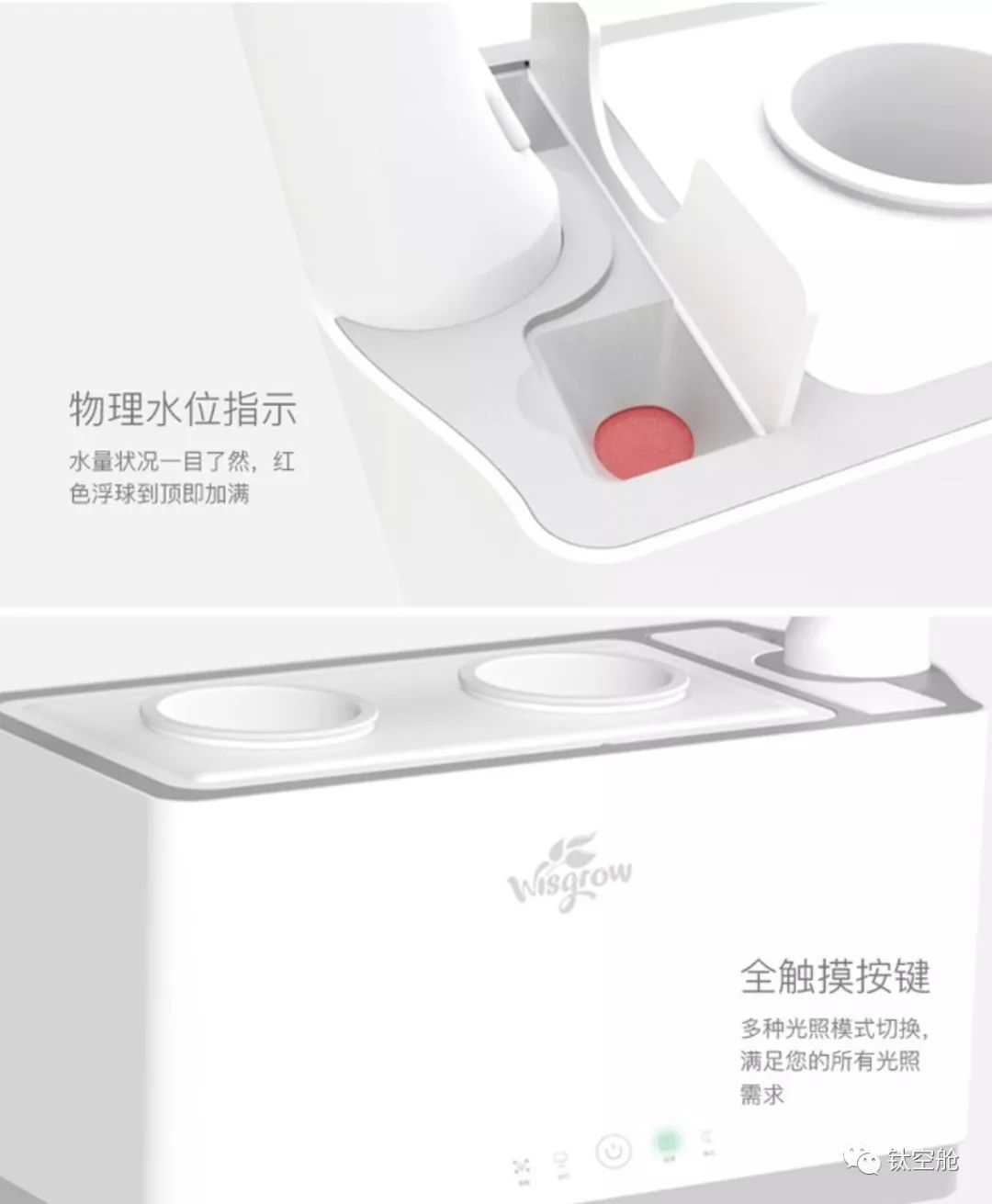 能当台灯，能养花，无土养殖智能养花机，开启养花新模式 | 钛空舱