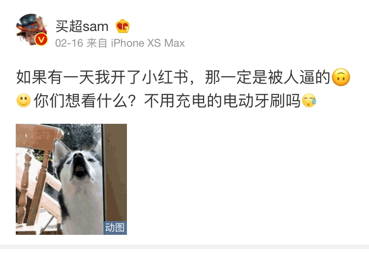 买超哭着向张嘉倪求婚，却不小心暴露了她这个致命缺陷