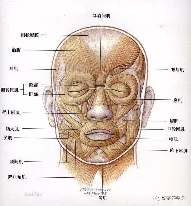 陈妍希动了这个地方，甜美感立刻变成小笼包