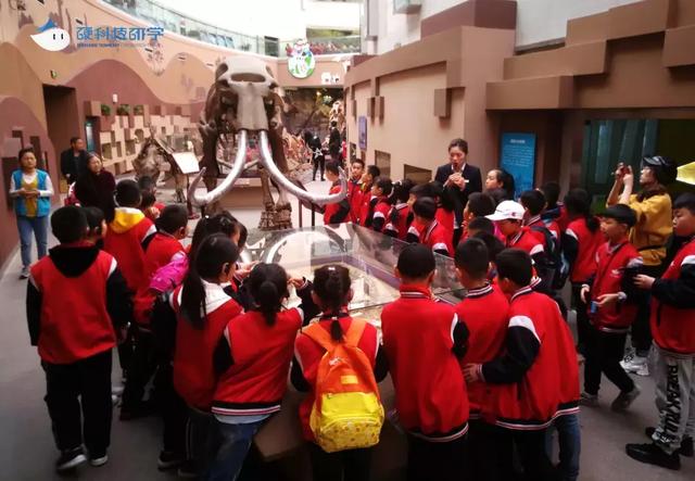 观自然博物,游9号宇宙,金陵小学自然科学探索之旅