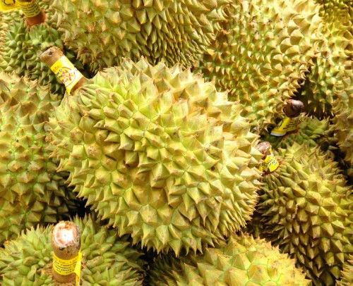 你知道怎么挑選肉多又甜的榴蓮嗎？很多人不會(huì)，看完漲知識(shí)