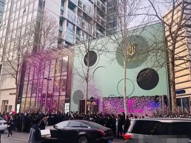 杨天真口才了得劝张雨绮卖包赚钱,范冰冰容光焕发搞事业开美容院