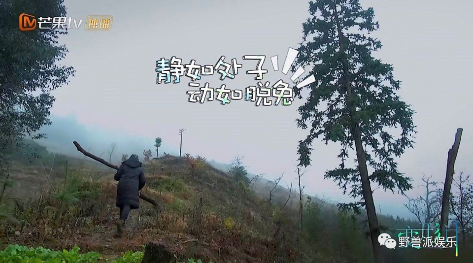 一个话痨，一个段子手，我发现了两个妙人儿…