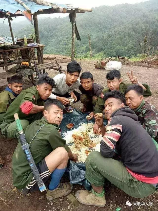 太残忍,缅甸山林中的野生猴子惨遭军方部队屠杀