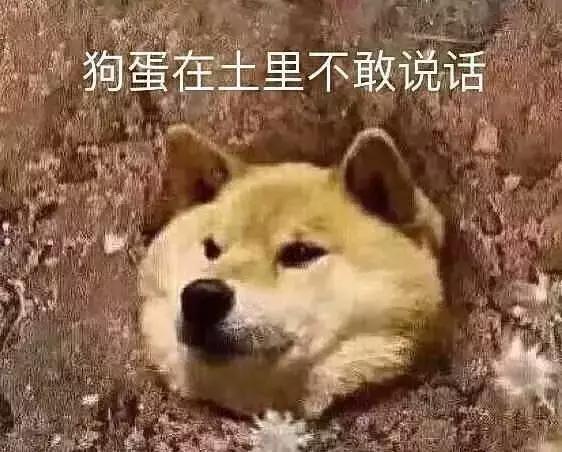 淘宝新上线“大宝箭“服务：火箭送快递，全球1小时达！