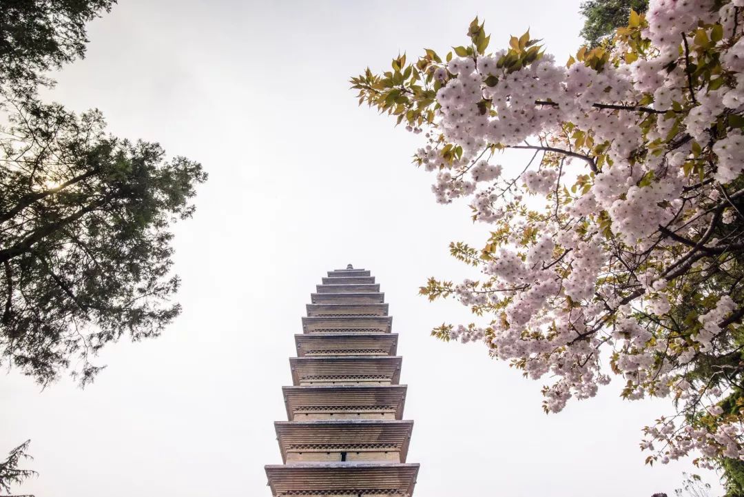 白马寺