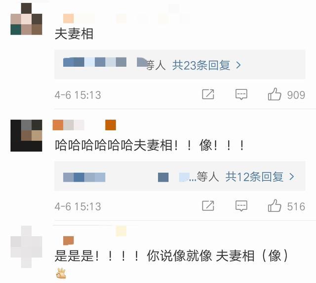 评论里粉丝们纷纷感慨两人真是太有夫妻相!