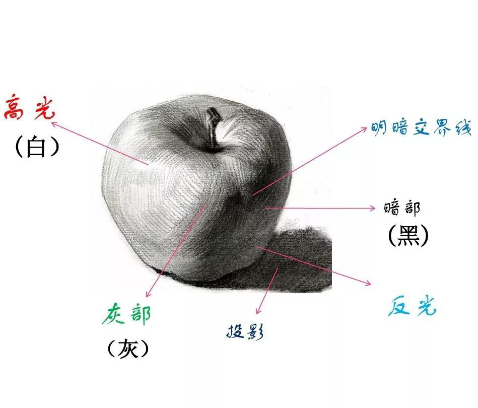 微信图片_20190406204011.jpg