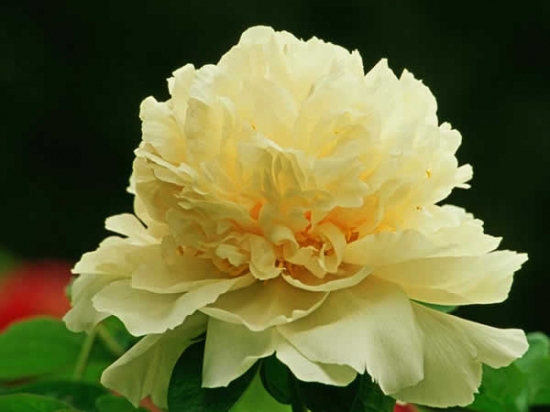 09c7a7b7dd0f430faf2a9feef1fabb37.jpg 09c7a7b7dd0f430faf2a9feef1fabb37.jpg