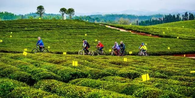 最佳赏花期:4-5月 自由骑行 周边,景区景点 地址:赤壁市官塘驿镇葛