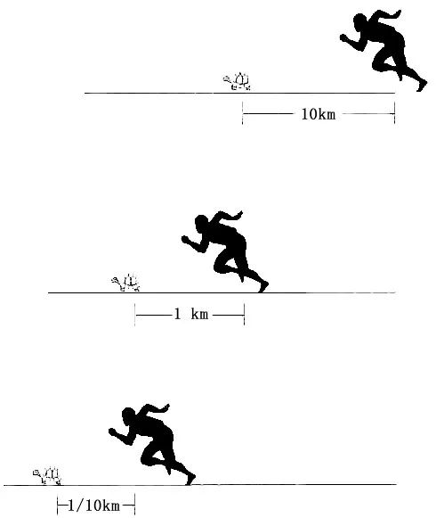 除了“薛定谔的猫”,物理学四大神兽还有谁?