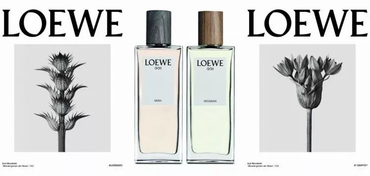 LOEWE 罗意威包2019必火?!还不是因为蔡依林、袁泉、唐嫣、杨幂等明星全都在背!