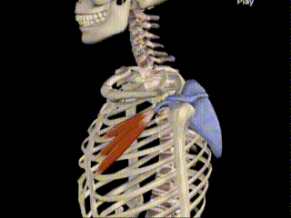 ϣбôˣιǿŶ۰