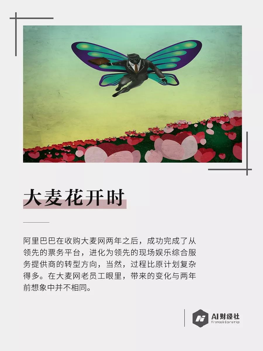 大麦花开时