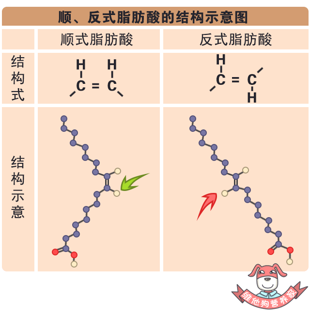 2. 反式脂肪酸的分类