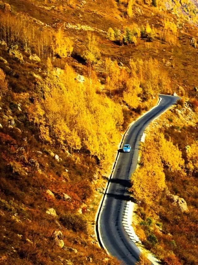 新疆最美线路,一网打尽新疆的美景,不走回头路的北疆大环线