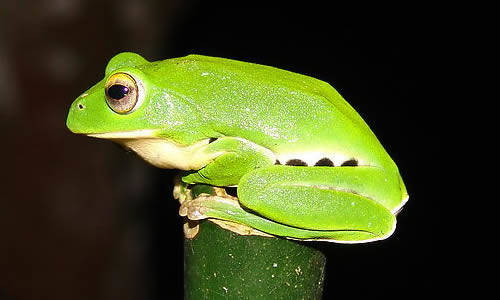 f00a06ed56af44919b2dbfabf37db41a.jpg f00a06ed56af44919b2dbfabf37db41a.jpg