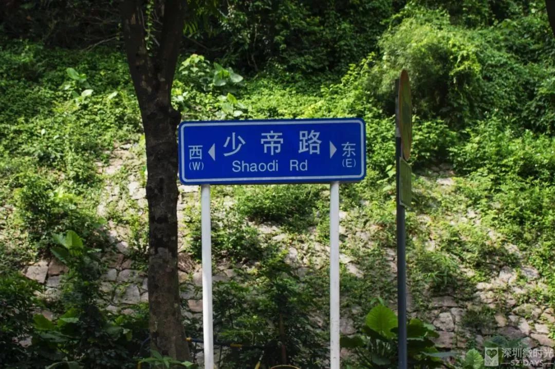 深圳未知君动物科技有限公司怎样样