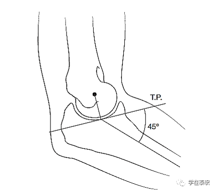 6.提携角165°～170° 成角：肱骨滑车的内侧缘更为向前下突出