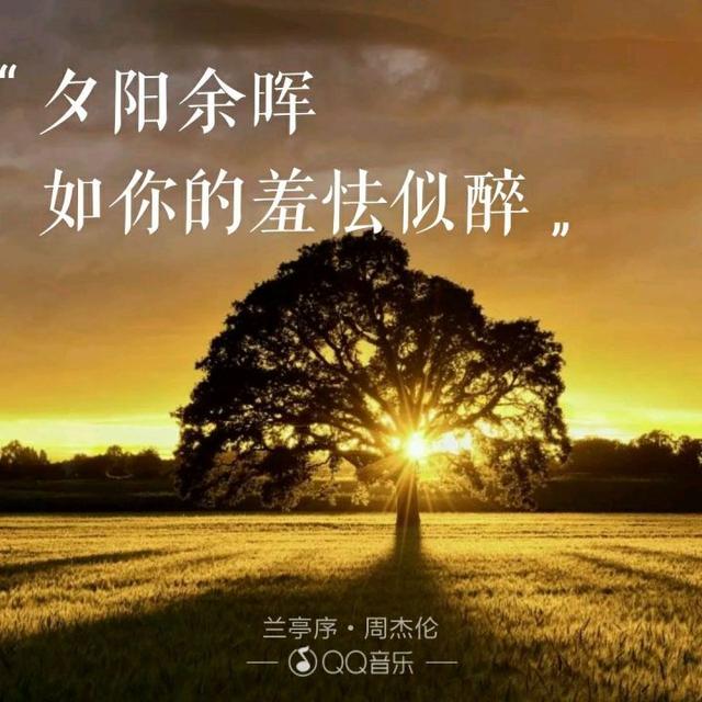520“喜欢你”用周杰伦歌曲里的歌词怎么说?