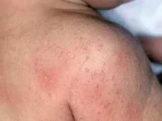 P1(滑图3)_副本.jpg