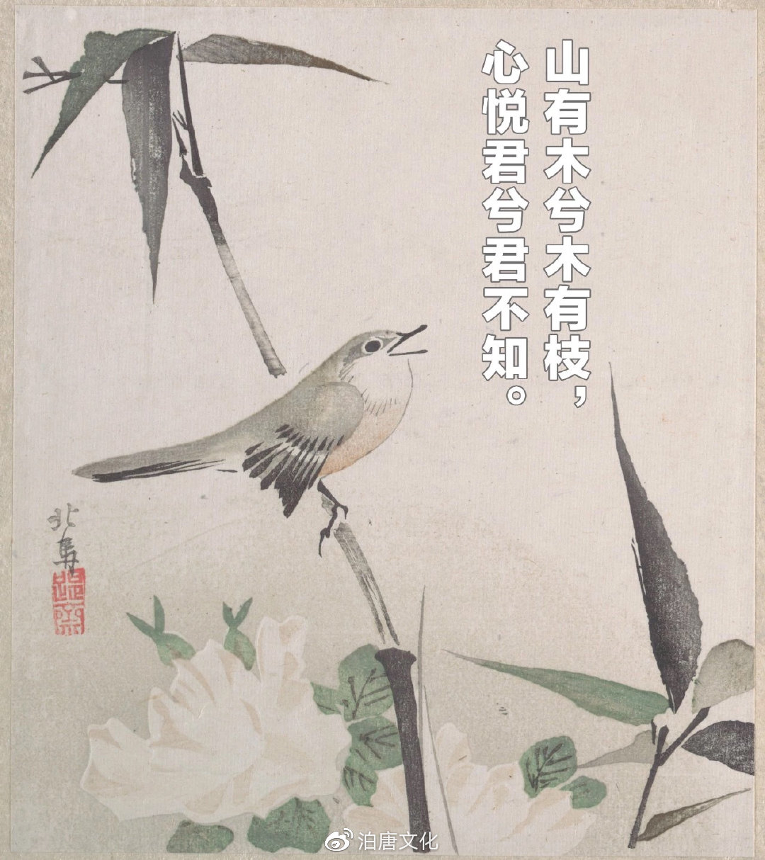 文章配图