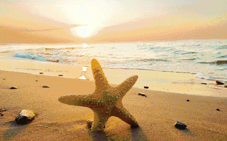 珠海最美海滩升级打造半岛公园!珠海人的马尔代夫!