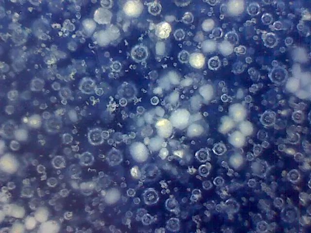 156、瓷器微观典型特征