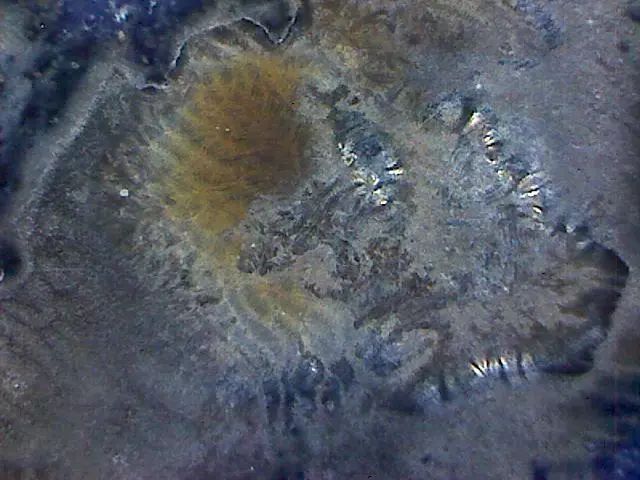 156、瓷器微观典型特征