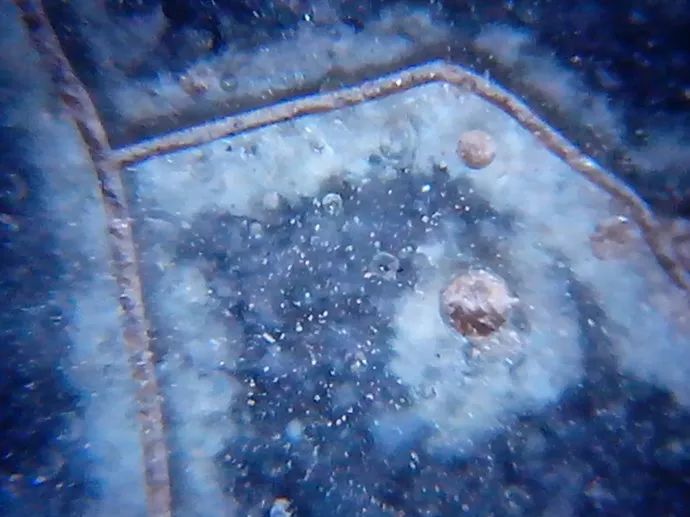 156、瓷器微观典型特征