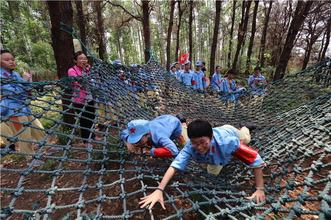 走长征路,游百草园,带孩子去广东盈香生态园过一个研学儿童节