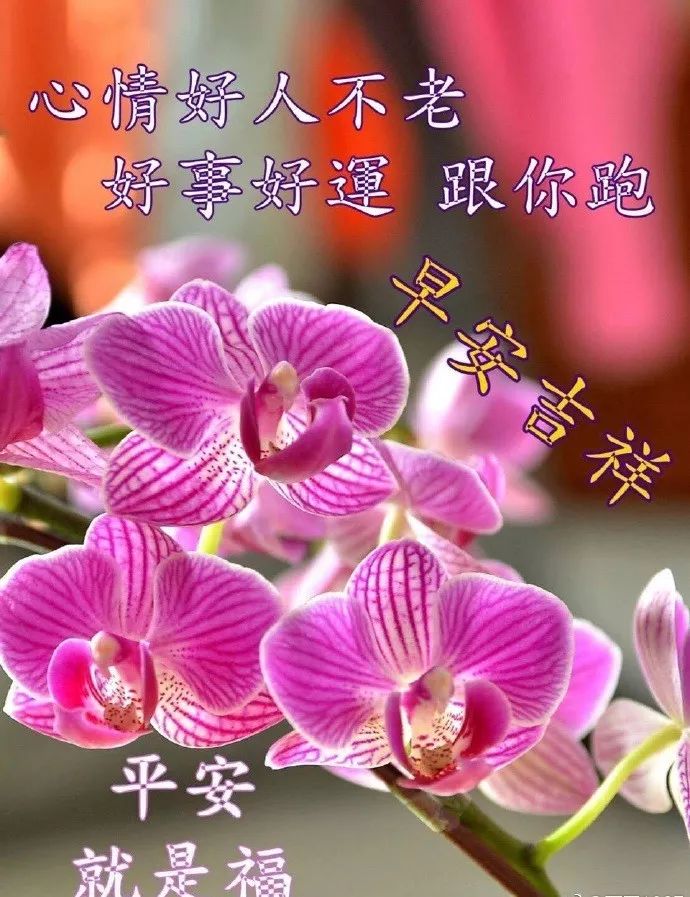 2019清晨早上好短信祝福关心的话 最美清晨问候语录图片最新版