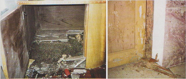 被台湾乳白蚁为害的木家具、木构件