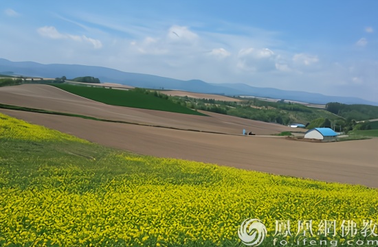 ä¸ä¼ å¤±è´¥