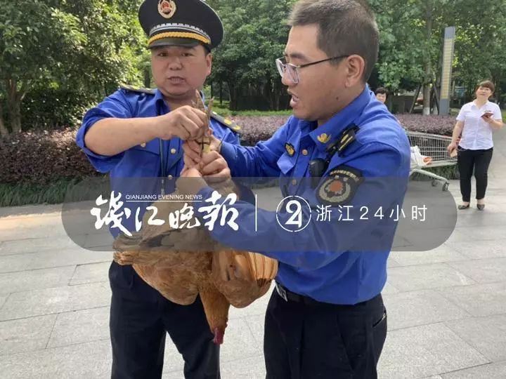 文章配图