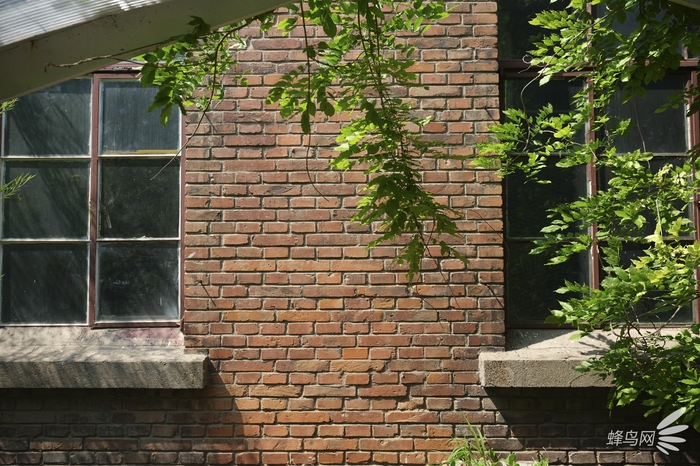 色彩艺术下的高级质感 富士胶片模拟功能试拍 色彩艺术下的高级质感 富士胶片模拟功能试拍