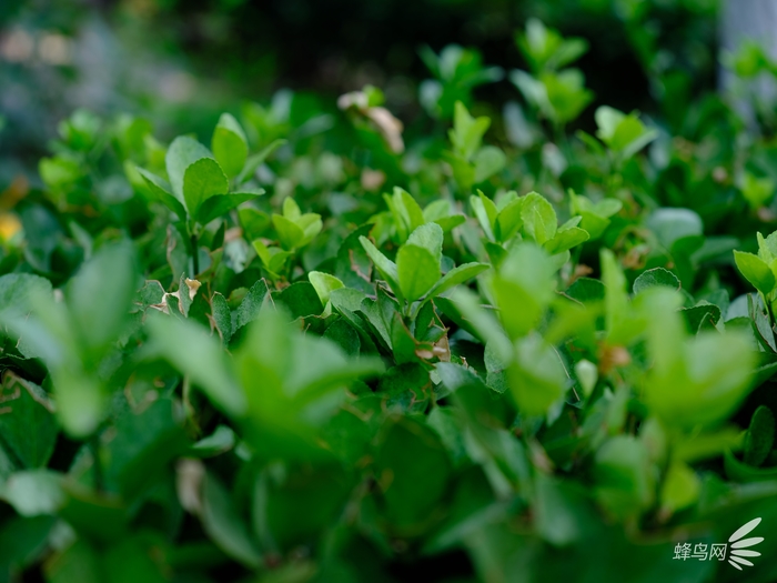 色彩艺术下的高级质感 富士胶片模拟功能试拍 色彩艺术下的高级质感 富士胶片模拟功能试拍