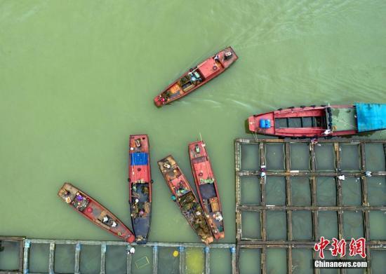 中国最大淡水湖鄱阳湖结束春季禁渔期