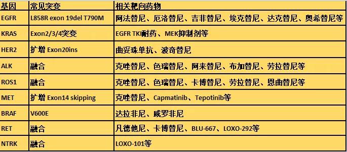 肺癌12大靶点全面解读及对应靶向药物方案盘点!(2019更新)