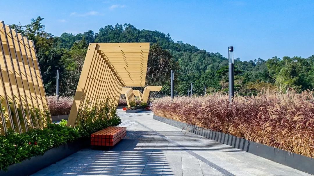 https://image.ipaiban.com/upload-ueditor-image-20190625-1561446303531073415.jpg